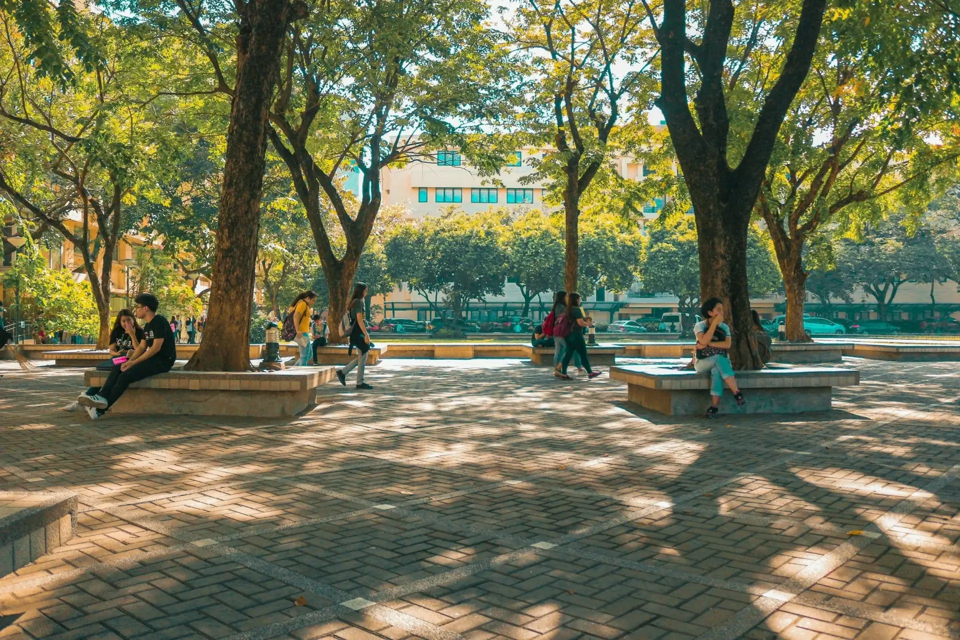 Students on a tree-lined campus plaza